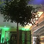 里纳特酒店 酒店 4*