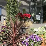 酒店 里纳特酒店 威利兹卡