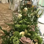 酒店 里纳特酒店 威利兹卡