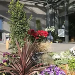 里纳特酒店 酒店 威利兹卡
