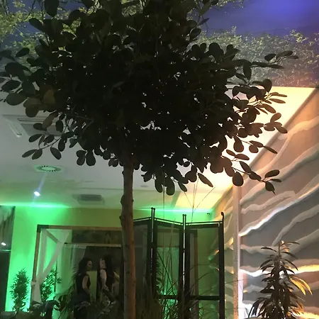 里纳特酒店 酒店 4*