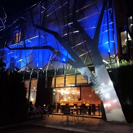 里纳特酒店 4* 威利兹卡